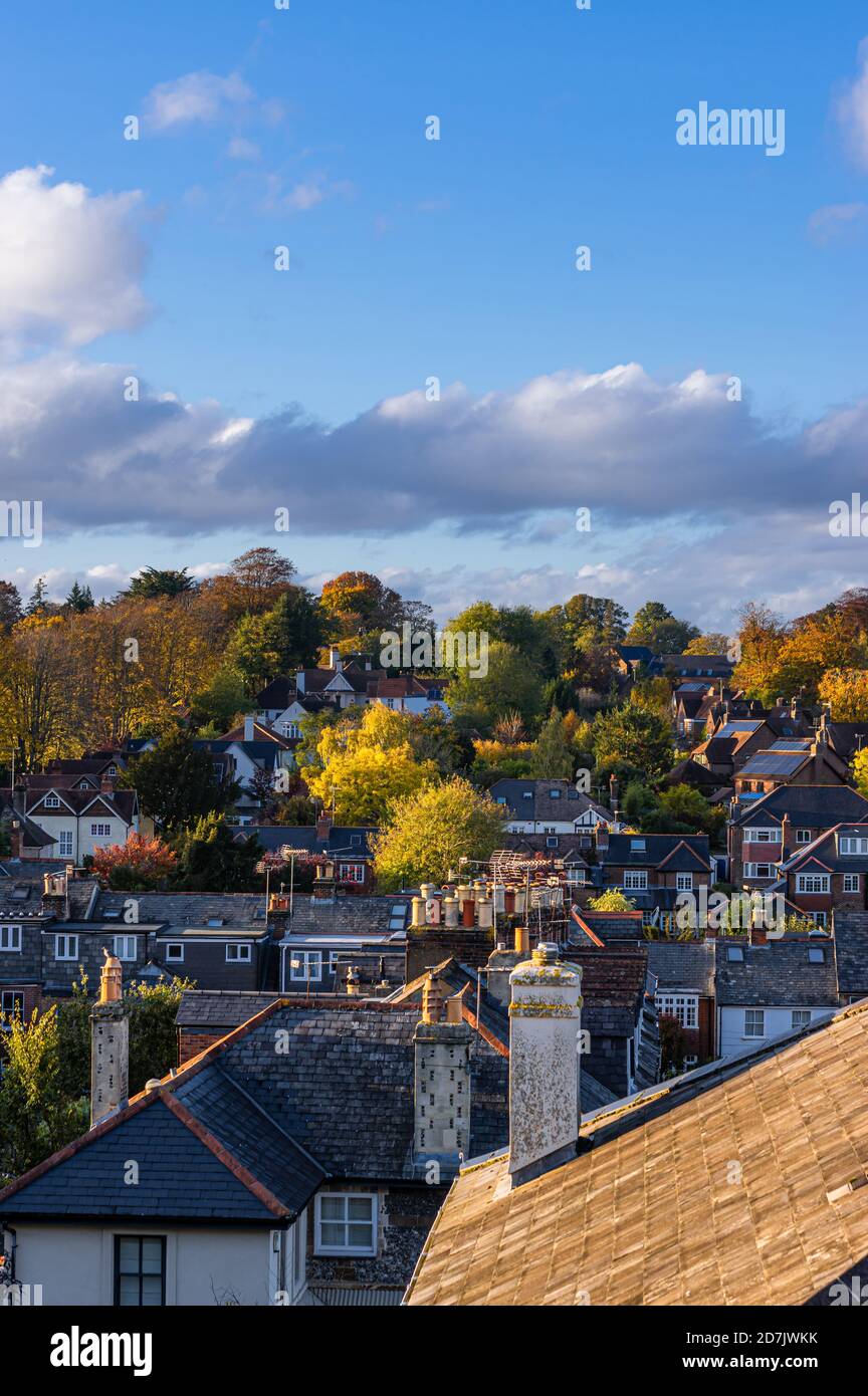 A late afternoon autumnal scene as golden light shines over trees and