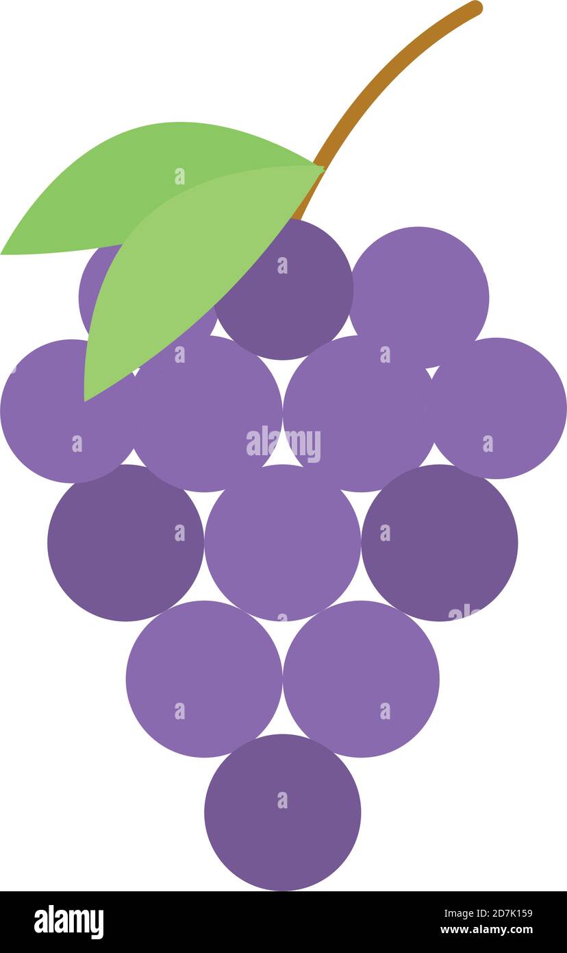 bunch grapes fruit nature fresh flat icon vector illustration Stock ...
