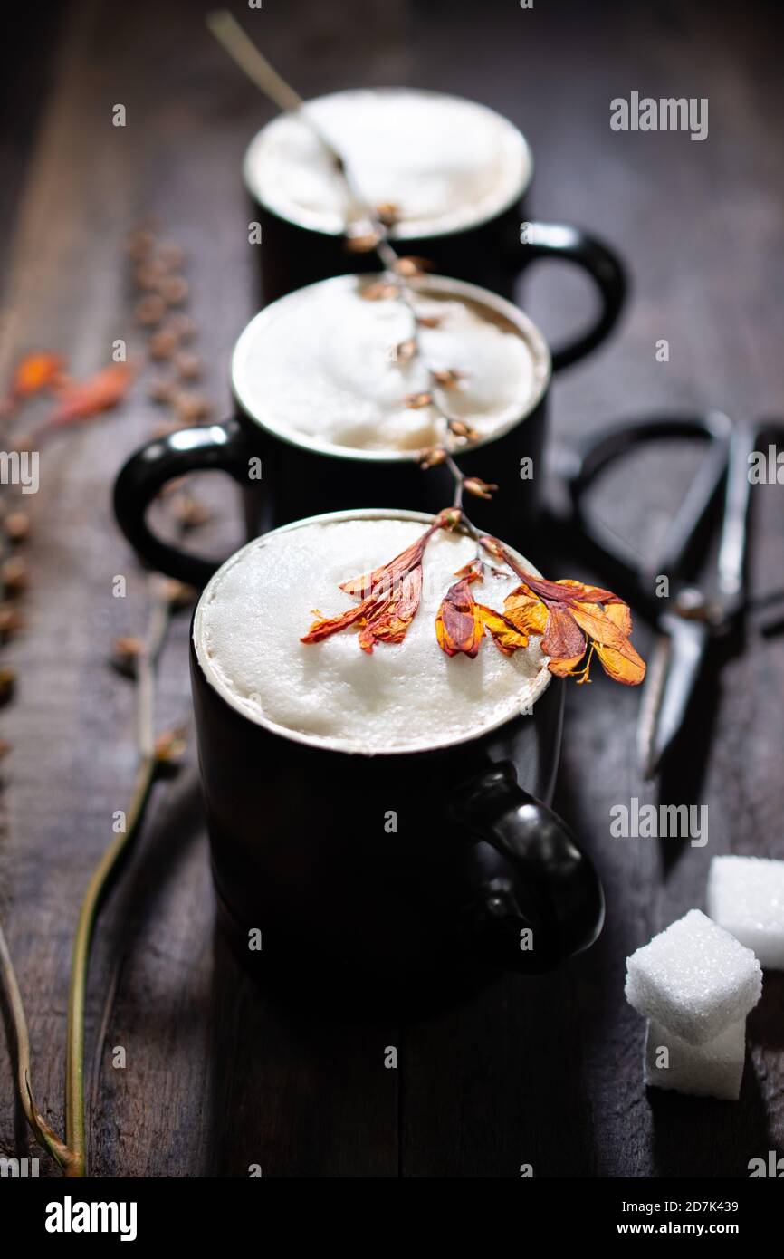 Autumn cappuccino.Winter coffee.Sweet drink.Healthy food and drink.Low fat cream. Stock Photo