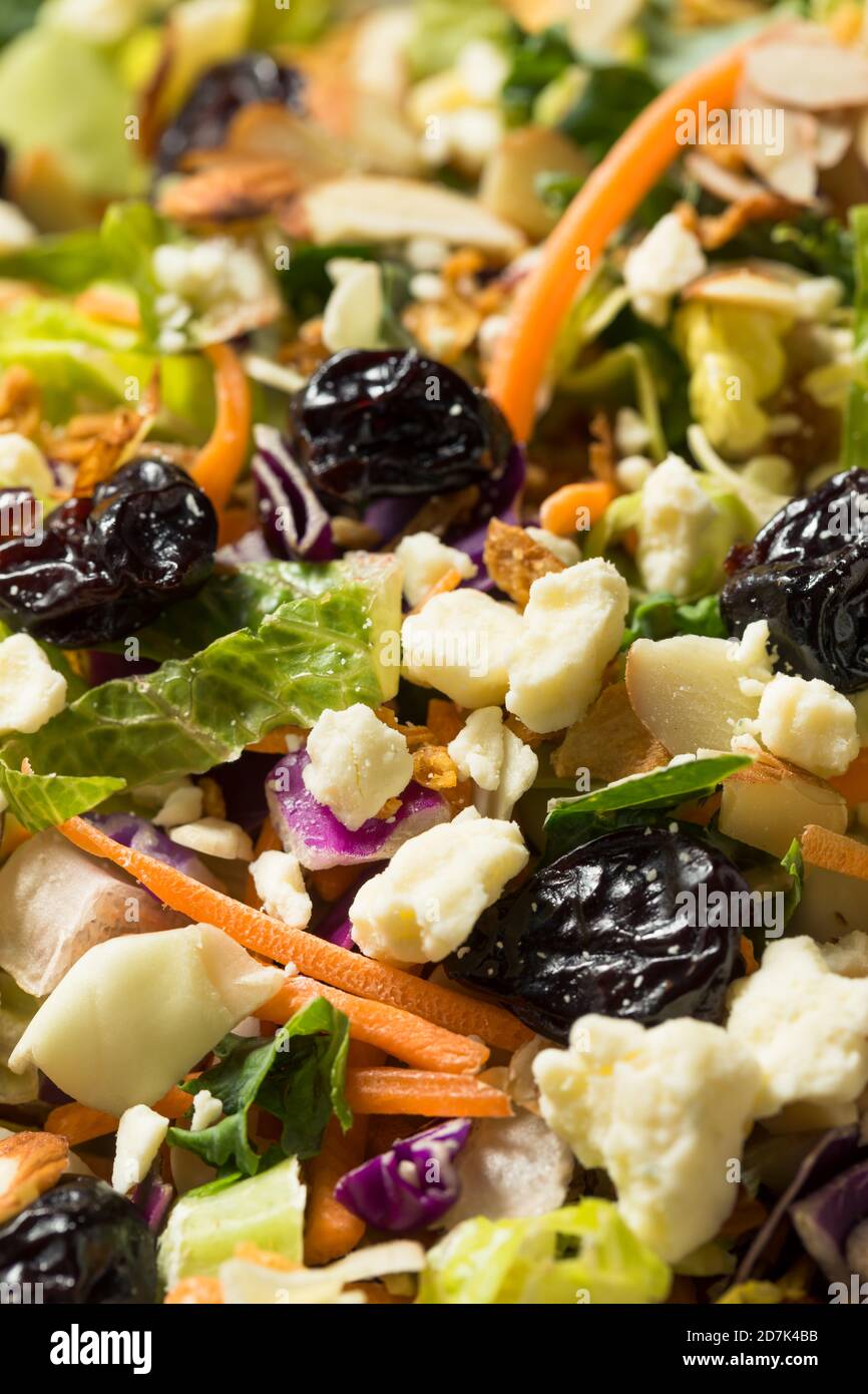 Healthy Organic Asian Salad with Cheese and Nuts Stock Photo Alamy