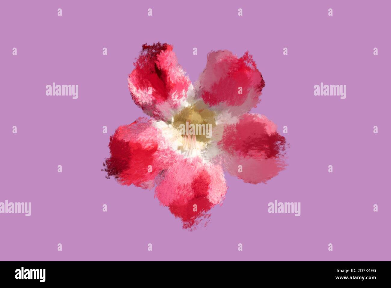 Digital painting of a flower with maroon, red and white colors on a mauve color background. A fuzzy colorful flower made using digital platform. Stock Photo