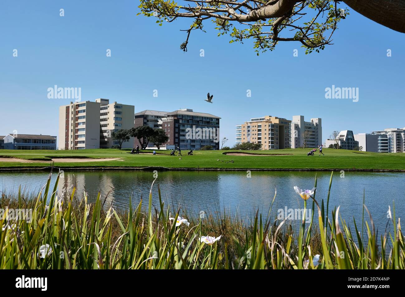Golf green park hi-res stock photography and images - Page 2 - Alamy