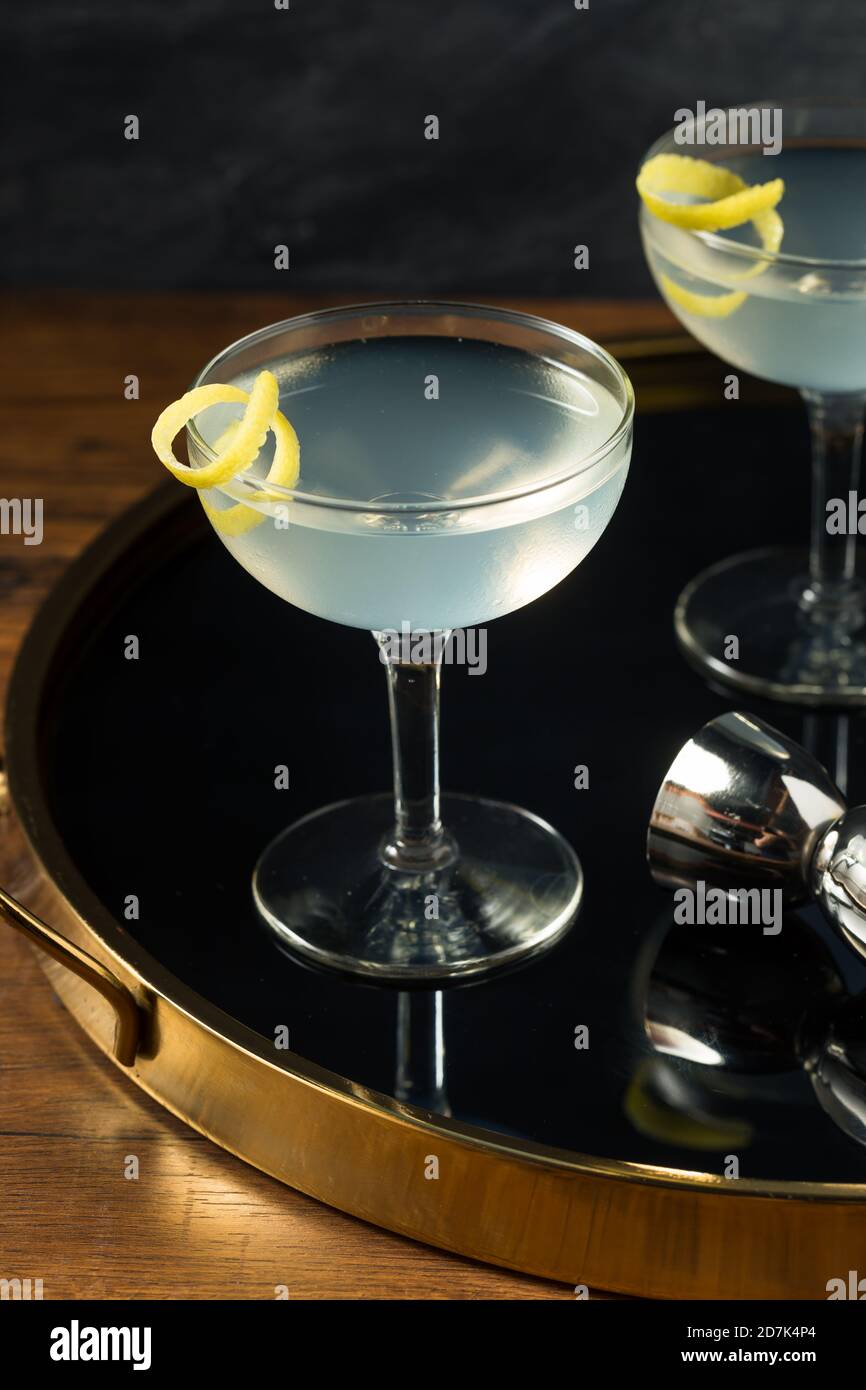 Homemade Dry Gin Martini with a Lemon Garnish Stock Photo
