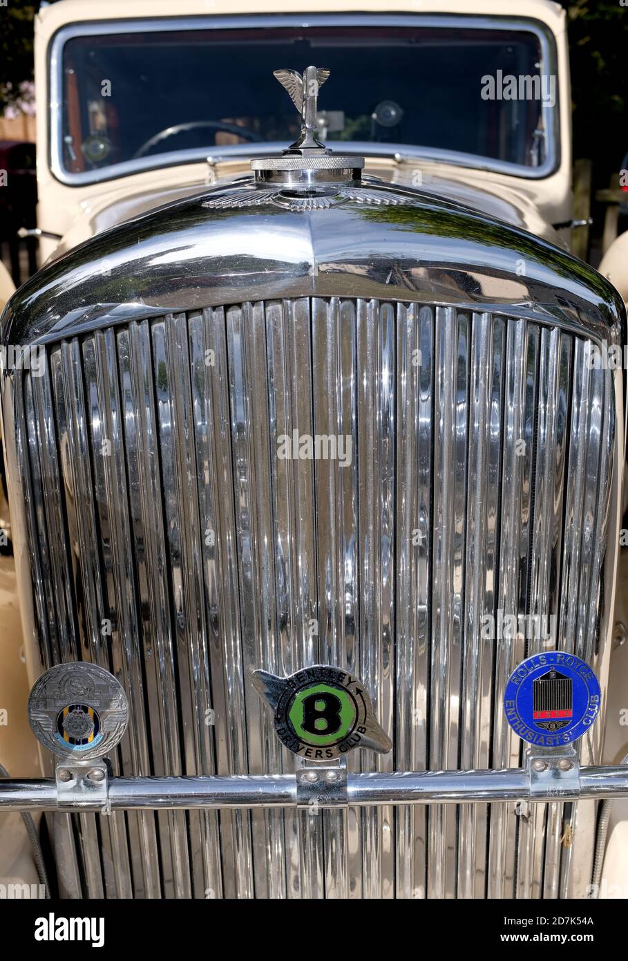 close up of 1930s Bentley car chrome radiator grill with headlamps, mascot and badge bar against cars cream bodywork. Concourse condition. Stock Photo