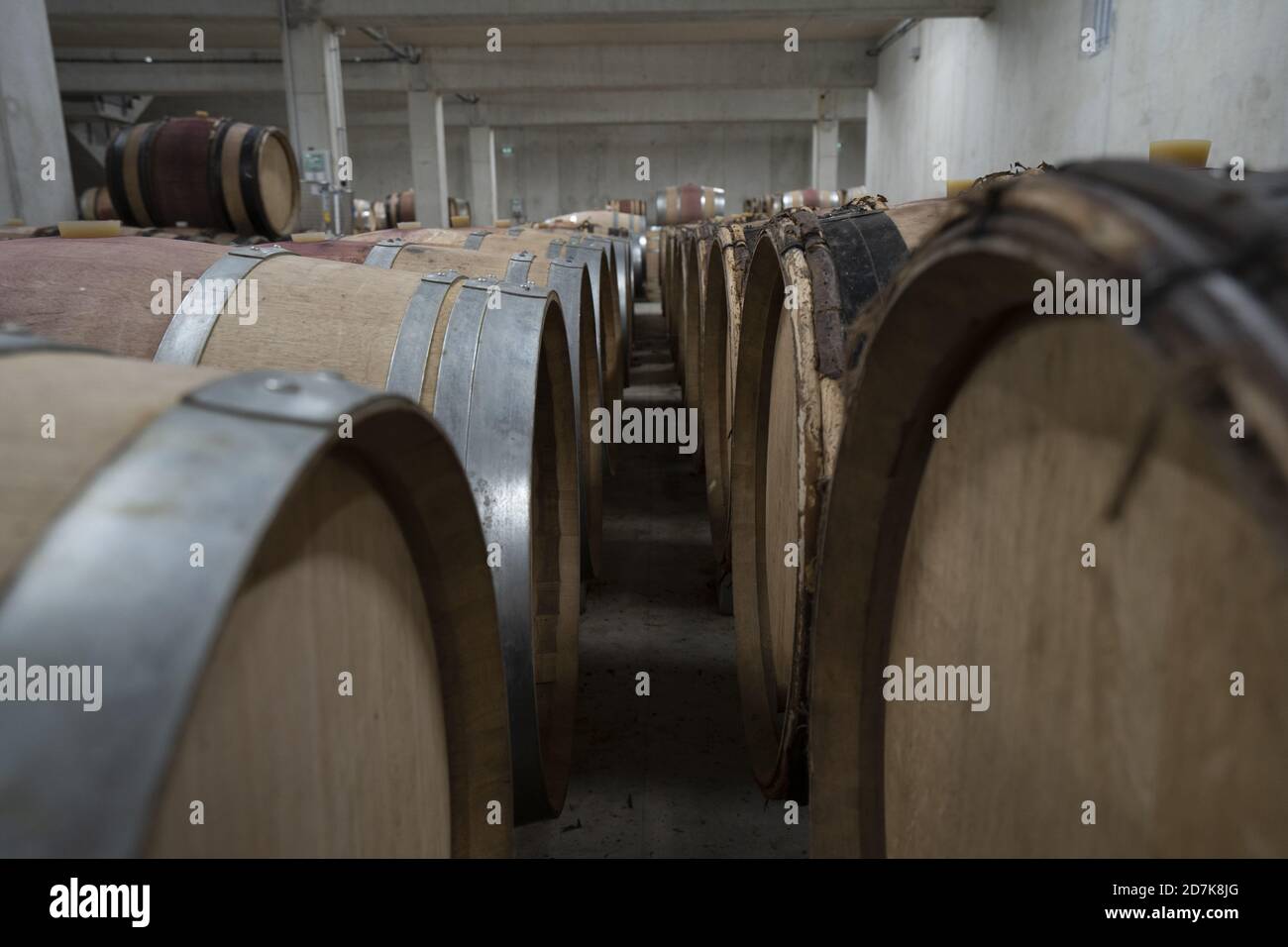 Many wine wooden barrel aligned and stacked in rows in a French cellar ...