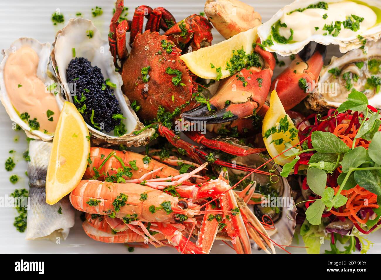Delicious and Fresh Seafood Platter from the Isle of Mull Stock Photo