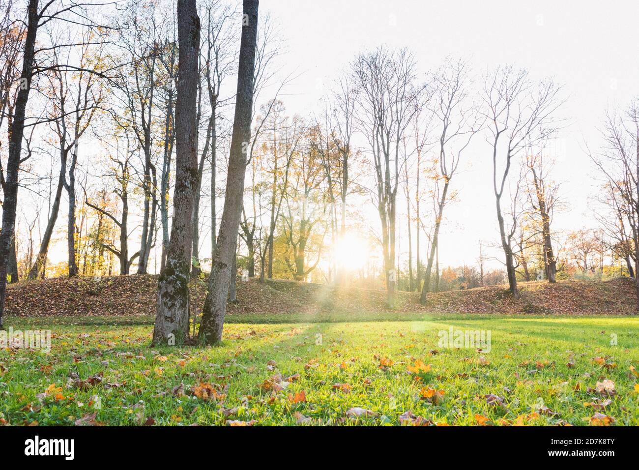 Lawn park park sun hi-res stock photography and images - Alamy