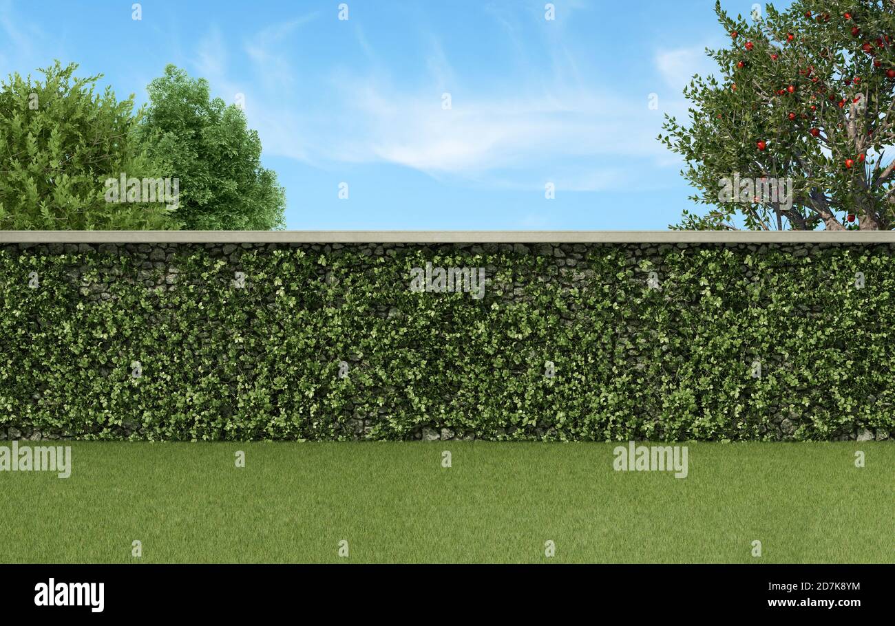 Garden with climbing plants on a stone wall, grass and trees - 3d rendering Stock Photo