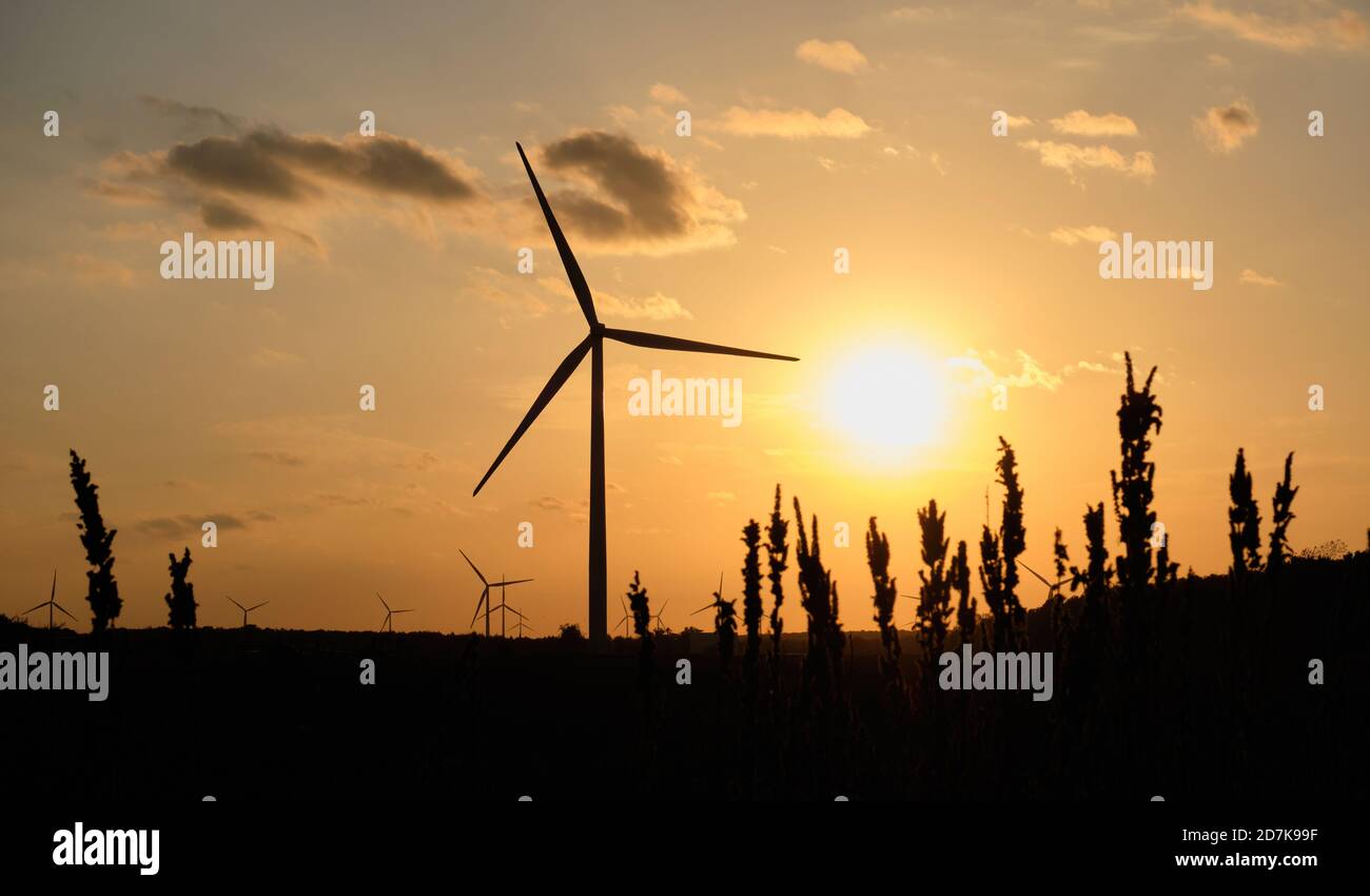 Wind turbines in Ontario, Canada at sunset Stock Photo Alamy