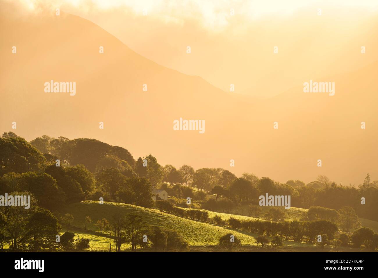 Stunning golden light of sunrise on side of Low Fell in the English