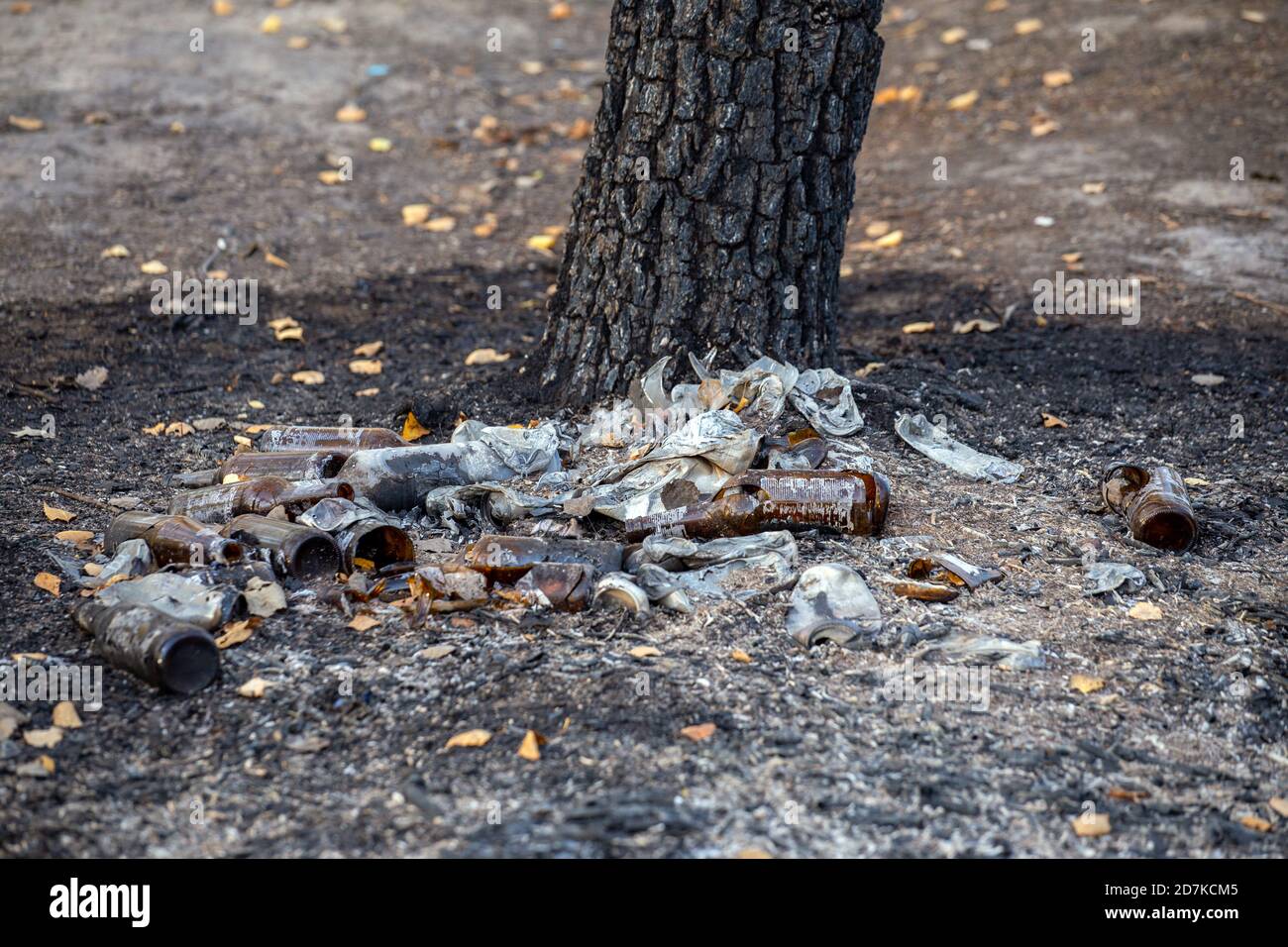 burned pile of trash under tree closeup with selective focus Stock