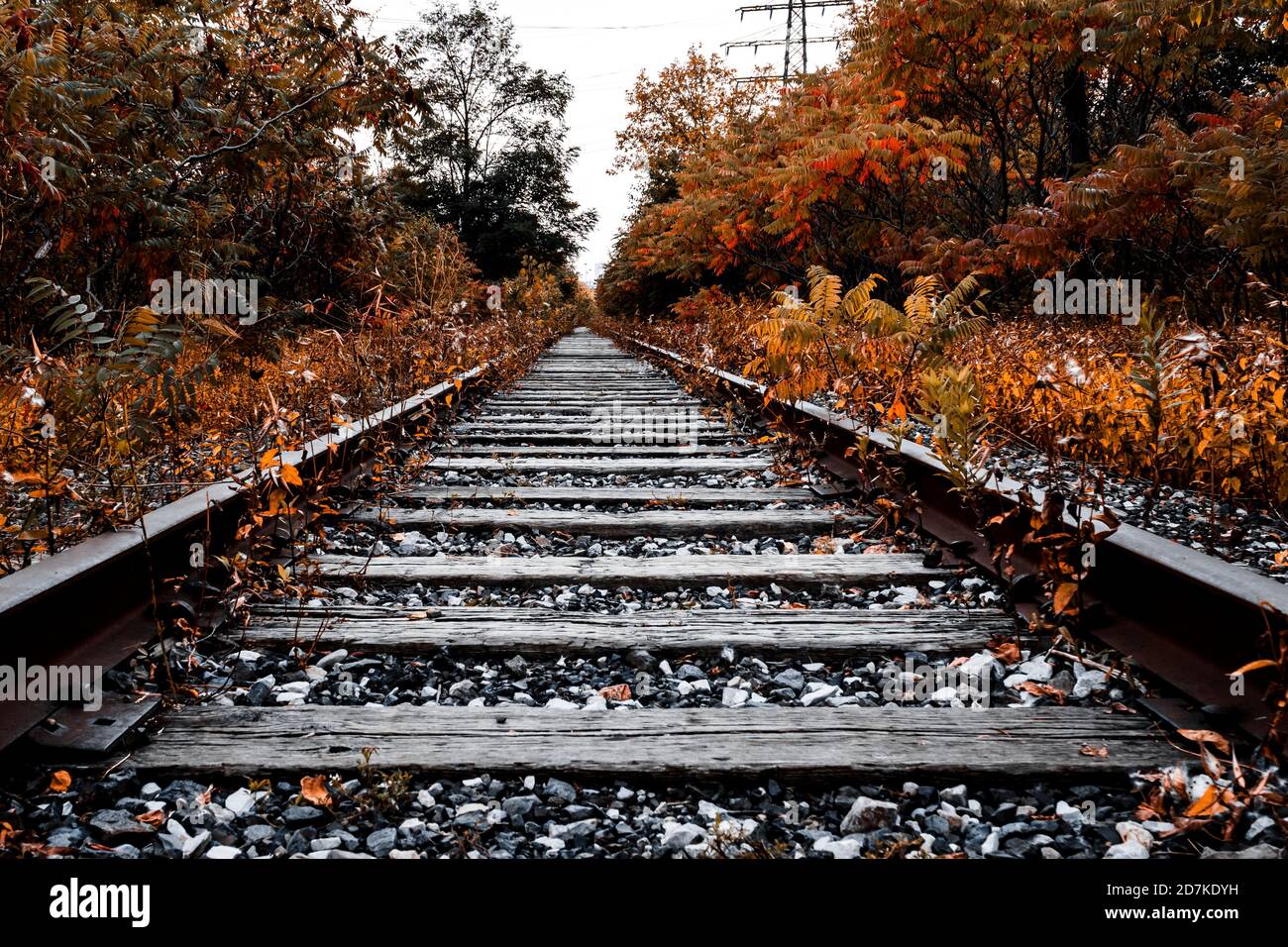 Autumn train tracks Stock Photo