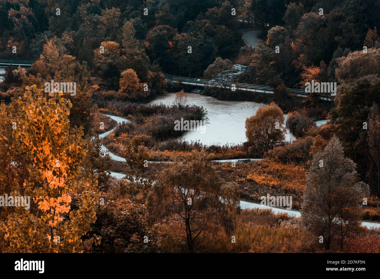 Trees of Autumn at the brick works Stock Photo