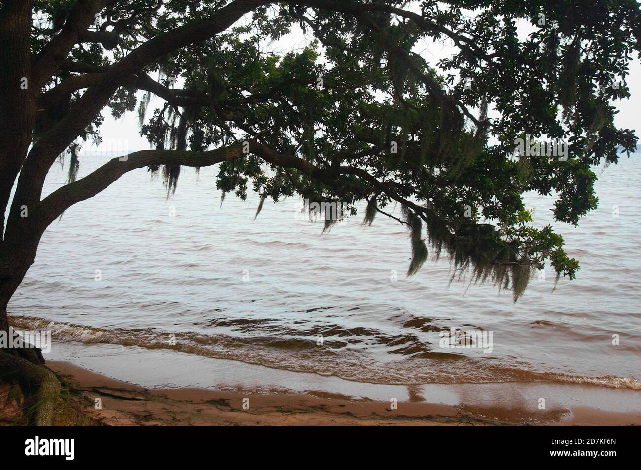 Goose Creek State Park Stock Photo - Alamy