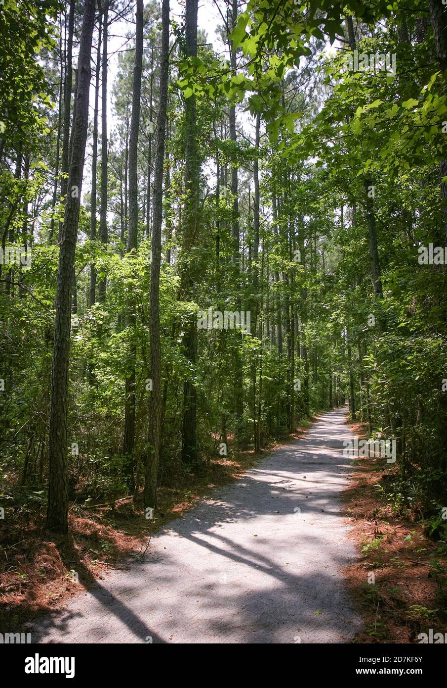 Goose Creek State Park Stock Photo - Alamy