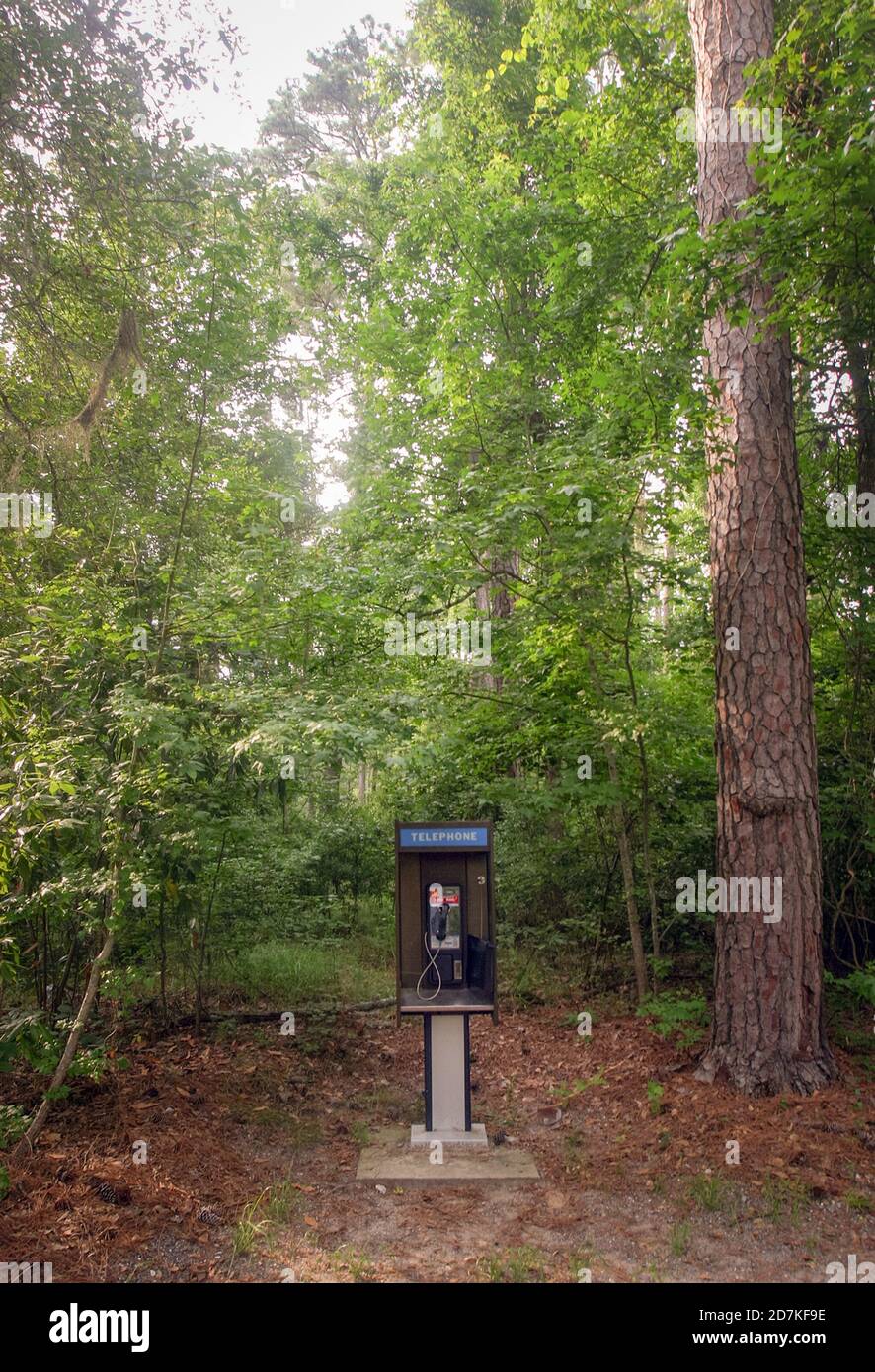 Goose Creek State Park Stock Photo Alamy