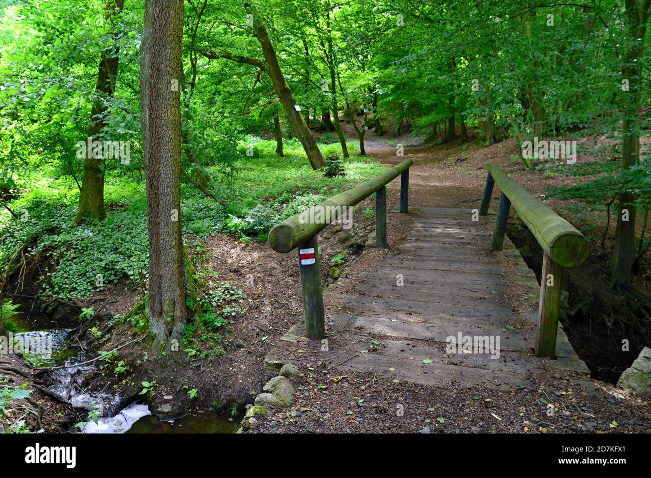Forest still life with wooden bridge over a stream. Romantic view of nature and the old wooden bridge. Ready for a walk. Stock Photo