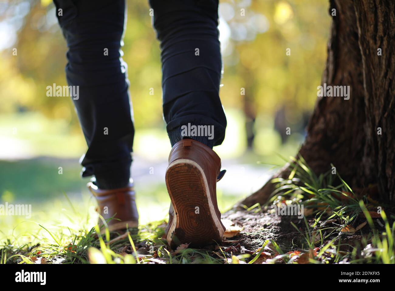 Autumn Park man walking along a path foliage Stock Photo - Alamy