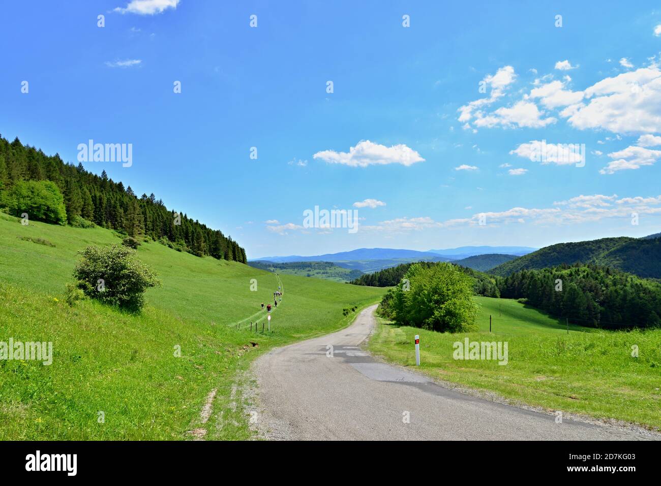 View of a large green valley with road and forest. Romantic view of the road to the valley between the mountains. Stock Photo