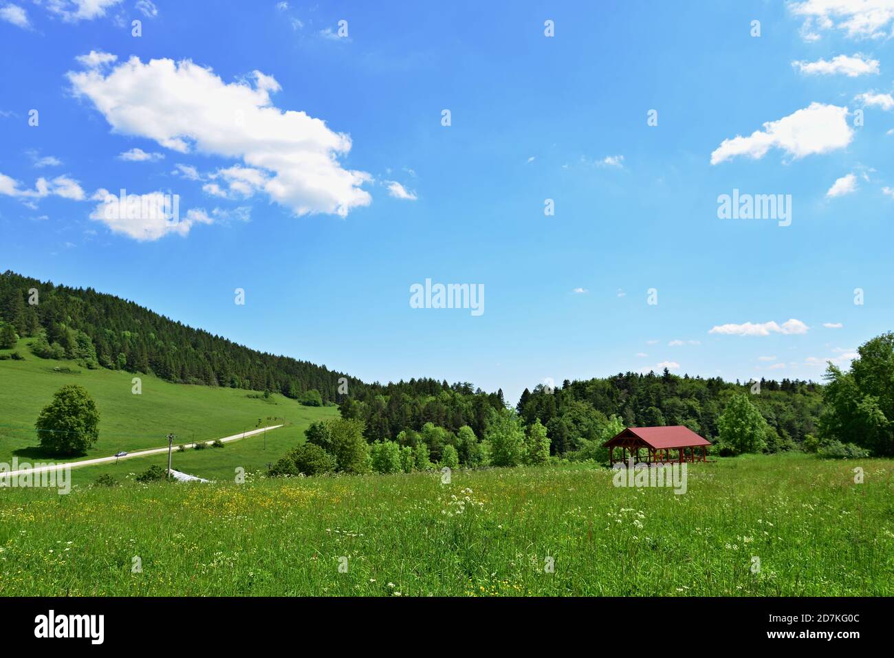 View of large green pasture, wood summer-house and path. Romantic view of a mountain meadow with a wooden house for sheep. Stock Photo