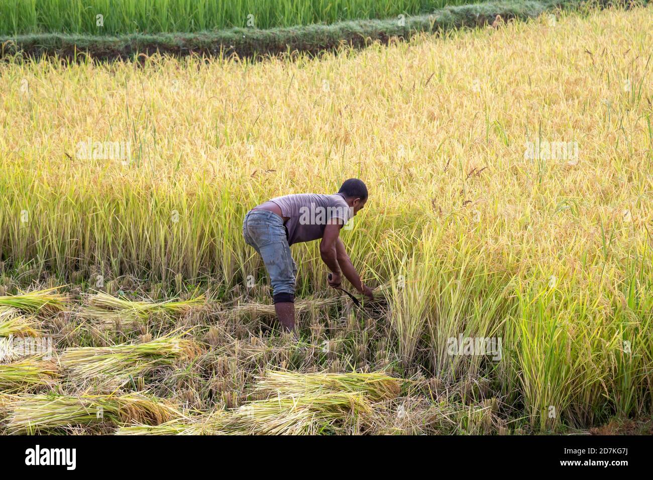 Editorial. Some People in Madagascar at their daily work Stock Photo