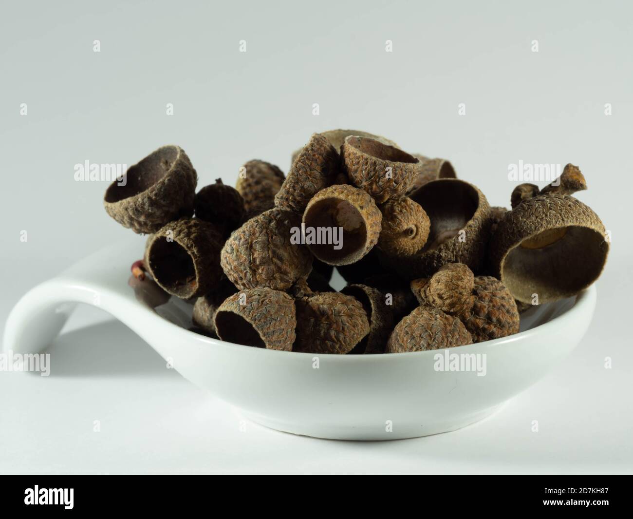 A white cup filled with acorn. Stock Photo