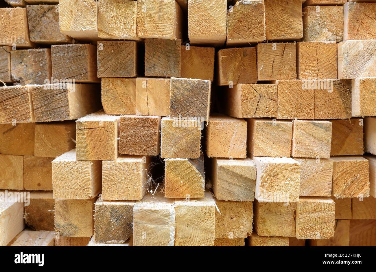 Lumber in sawmill, ends of timber blocks for texture background. Sawed and processed wood in warehouse, timber stack in factory yard. Pile of wooden b Stock Photo