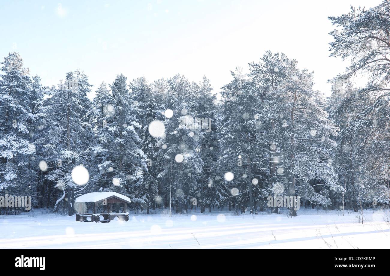 wooden gazebo in forest in the winter snow blizzard Stock Photo - Alamy