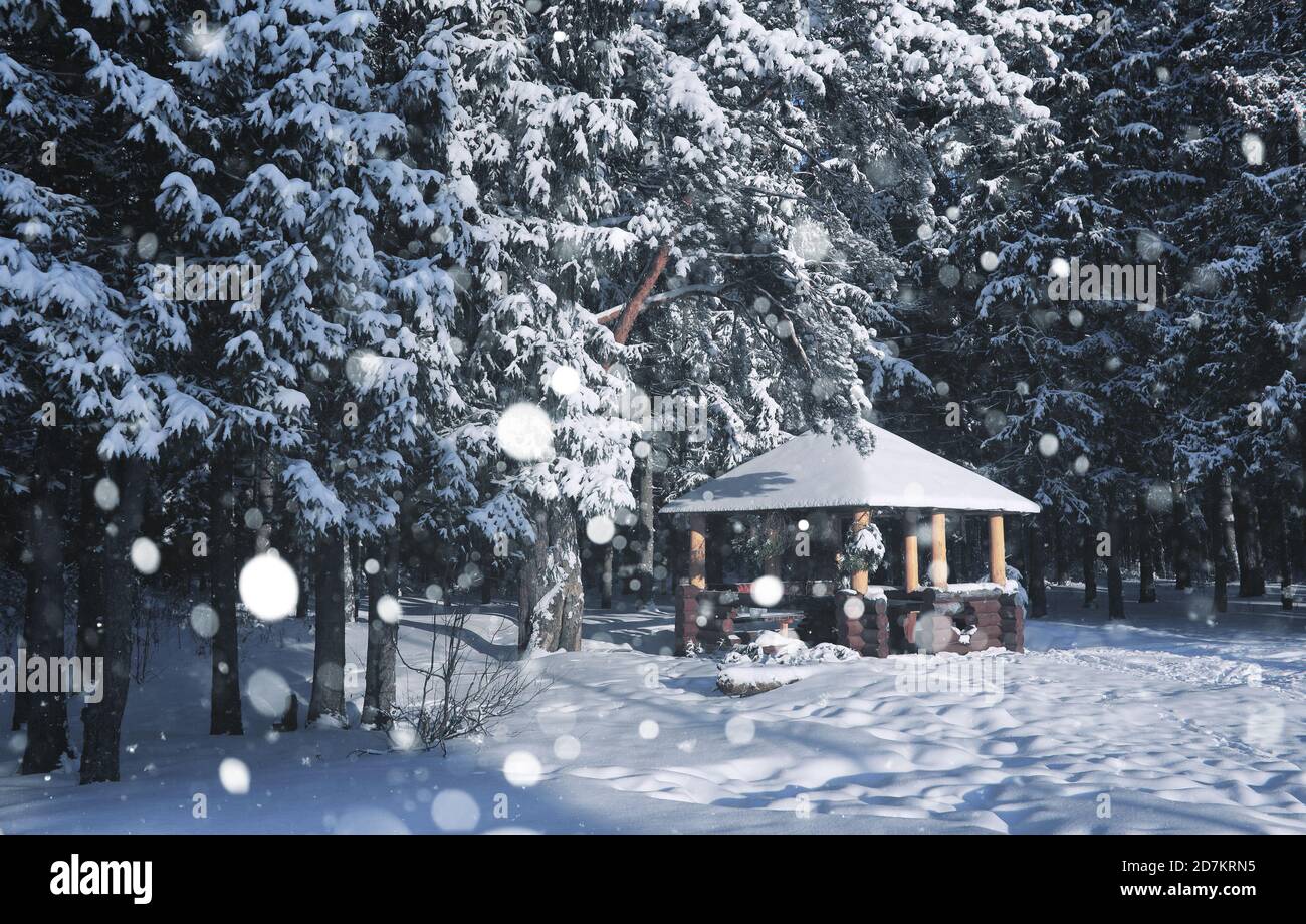 wooden gazebo in forest in the winter snow blizzard Stock Photo - Alamy