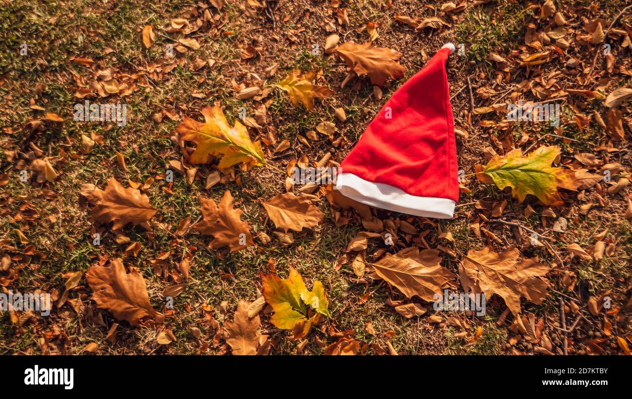 Funny Santa Hoodie