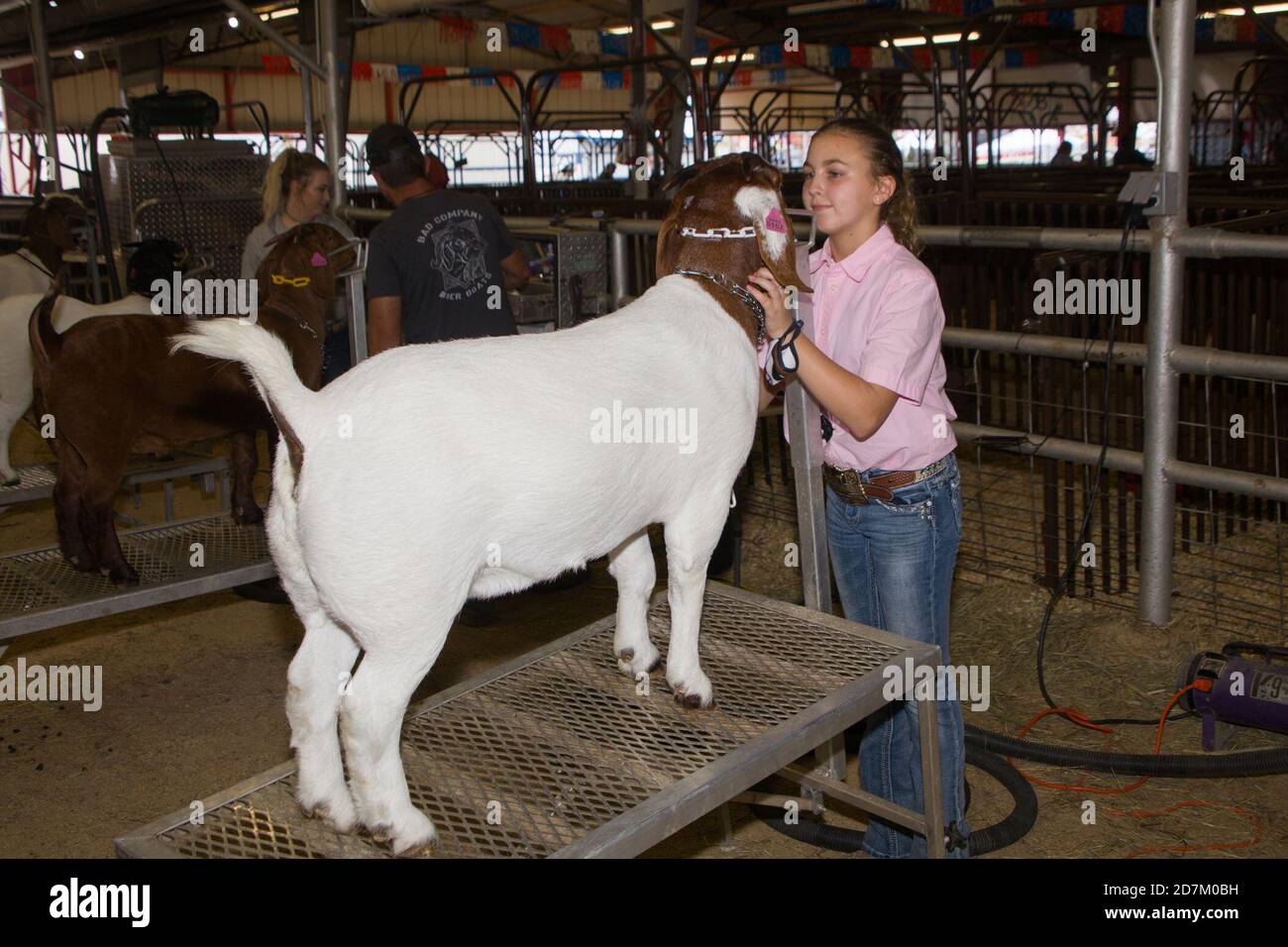 Denton, USA. 23rd Oct, 2020. A girl touches her goat before a goat