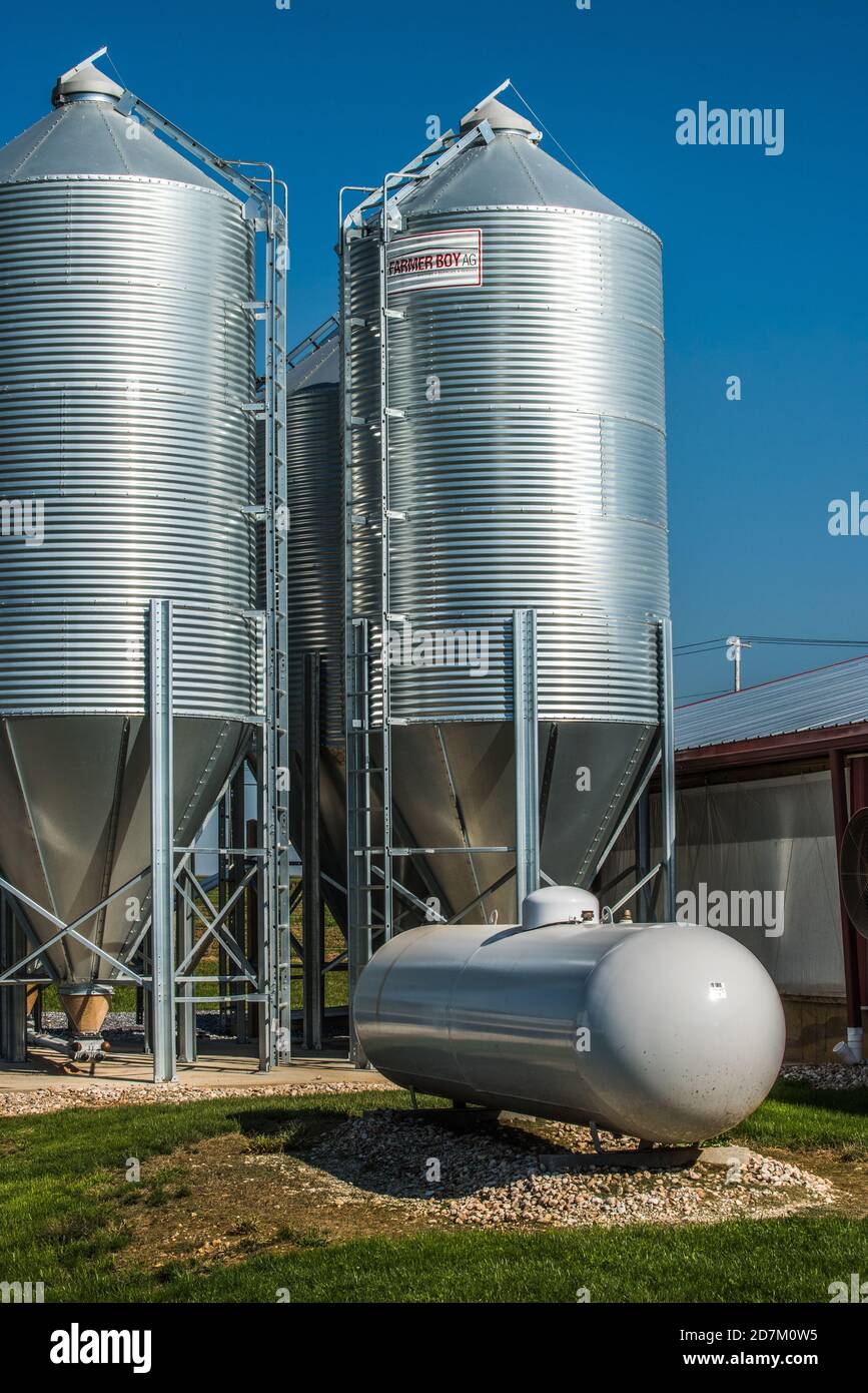 Agricultural silos on hog farm Stock Photo Alamy
