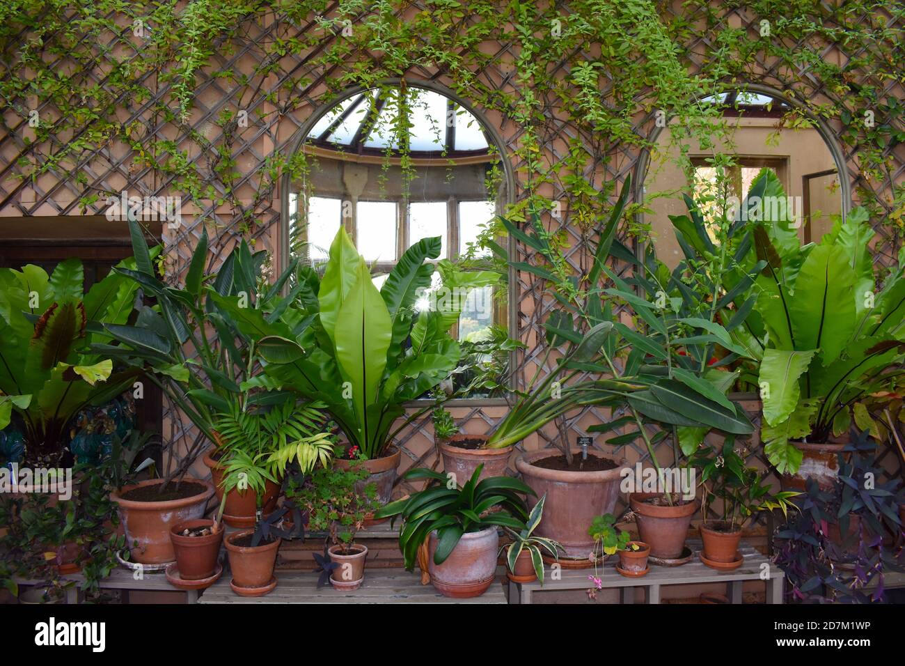 Somerset conservatory receiving full sunlight with large windows The