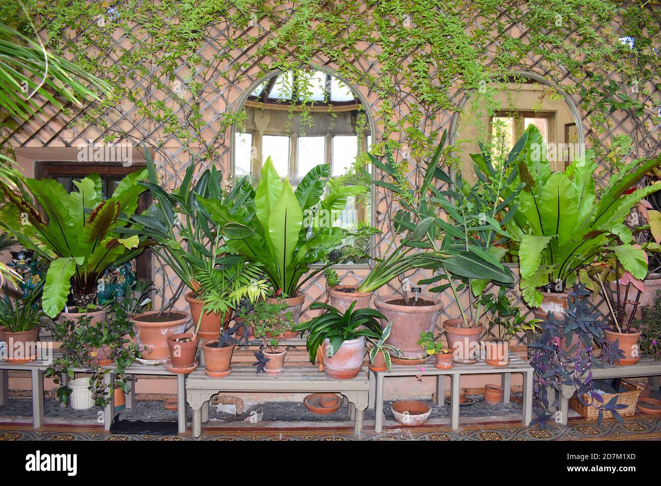 British conservatory in Somerset receives sun through French windows
