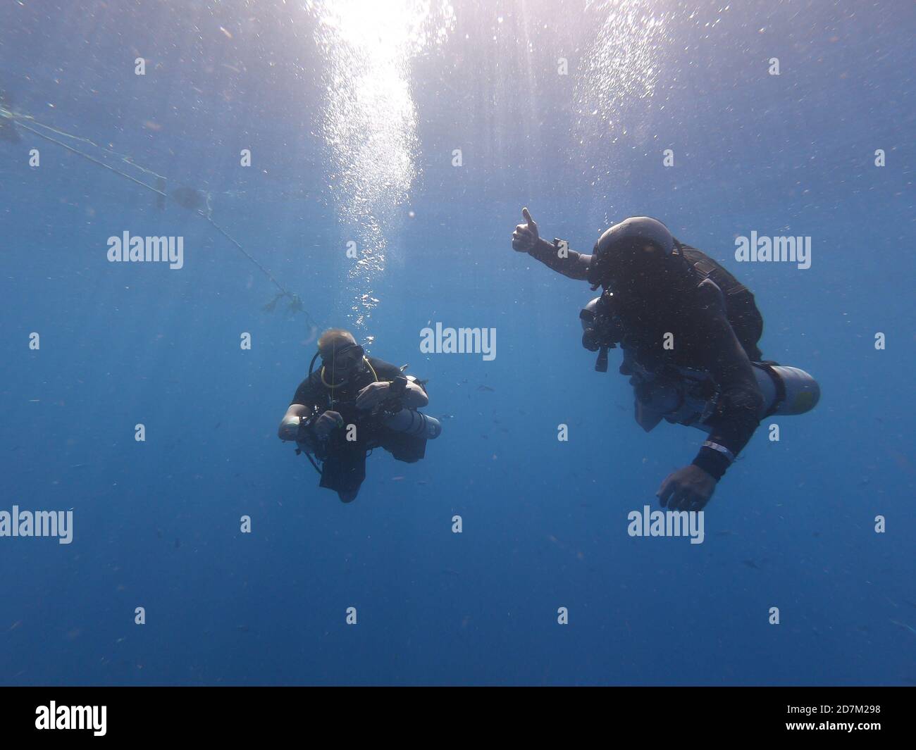 Scuba divers in the depths of the ocean with an oxygen tank and fins ...