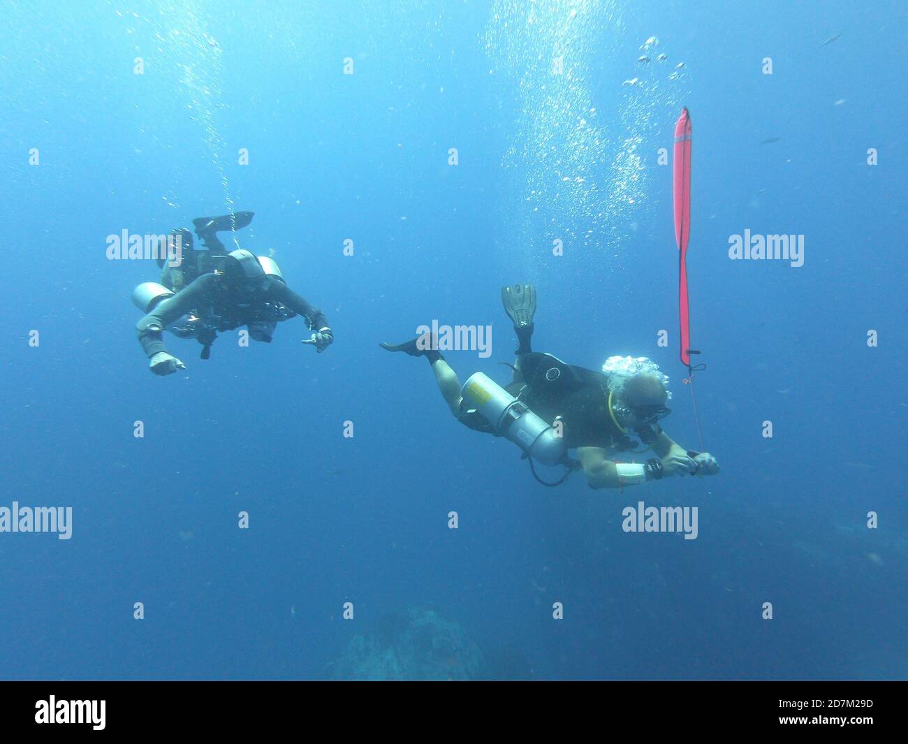 Scuba divers in the depths of the ocean with an oxygen tank and fins ...
