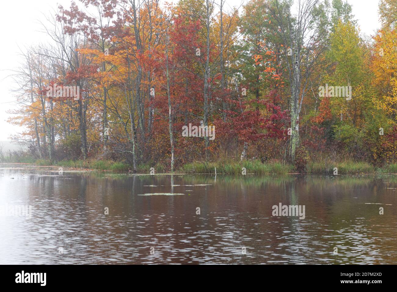 A misty autumn morning on a wilderness lake in northern Wisconsin. Stock Photo
