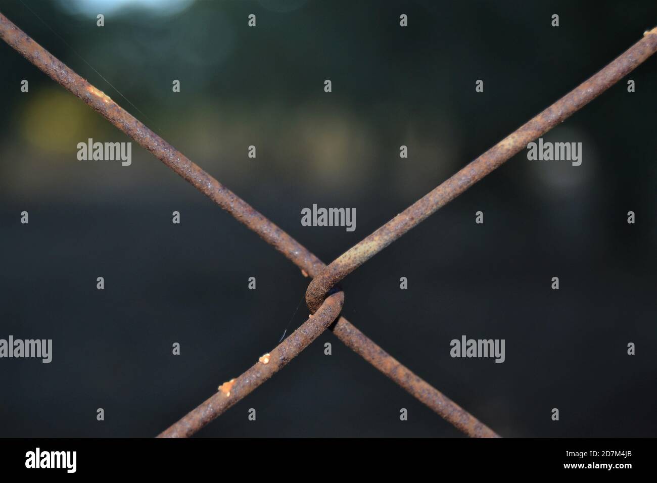 Close up rusted wire netting. Metal wires covered for garden fences