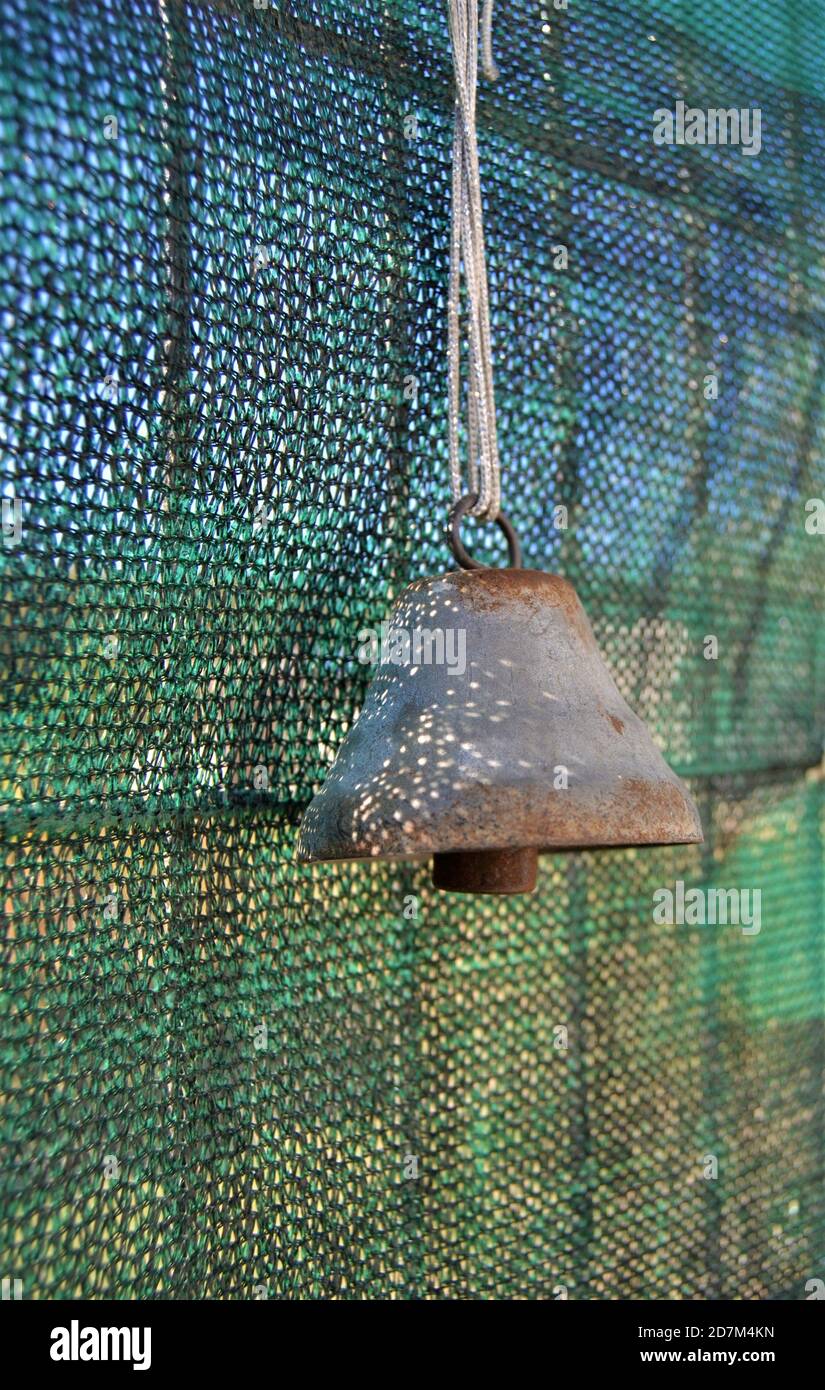 Vintage door bell hanging on the door. Vintage doorbell stays in green