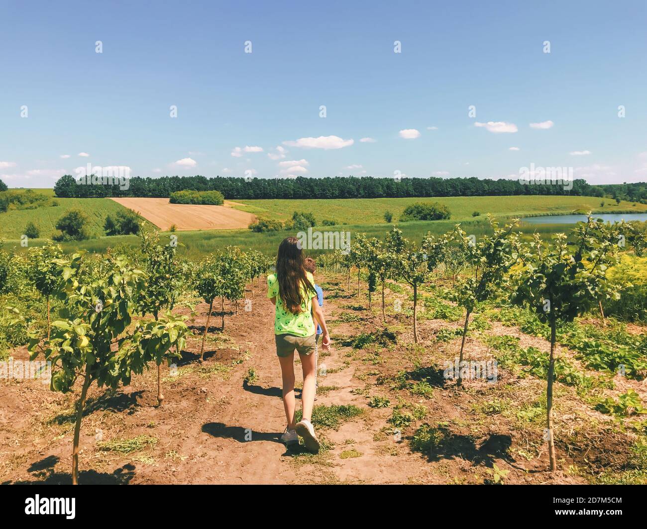 Summer garden on countryside farm: rural landscape of fruit trees cultivation and kids walking along it Stock Photo