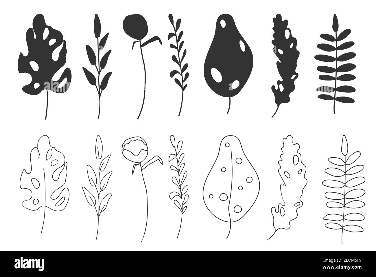 Contour and silhouette exotic tropical leaf set. Hand drawn different ...
