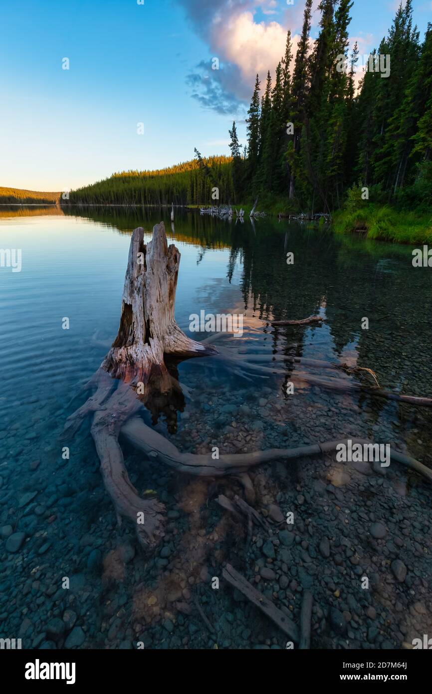 Beautiful Scenery by the lake in Canadian Nature Stock Photo