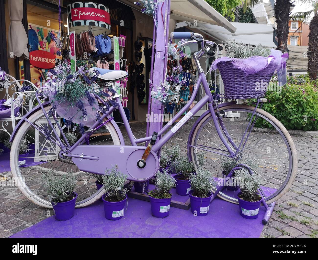 SIRMIONES, ITALY - Aug 13, 2018: bicycle with lilac basket and lavender  plants around Stock Photo - Alamy