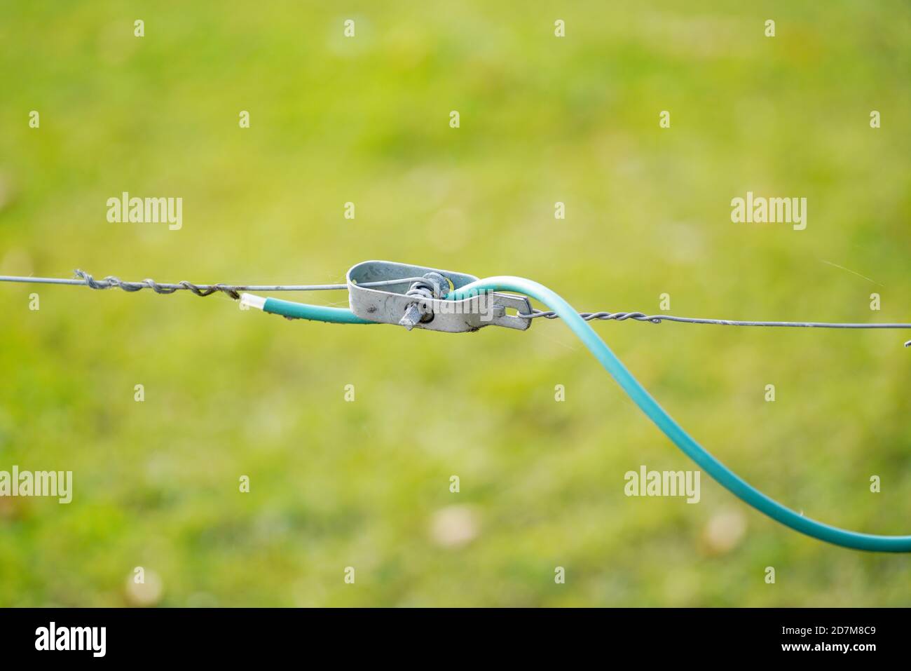 Electric fence gate protecting a green grass pasture Stock Photo Alamy