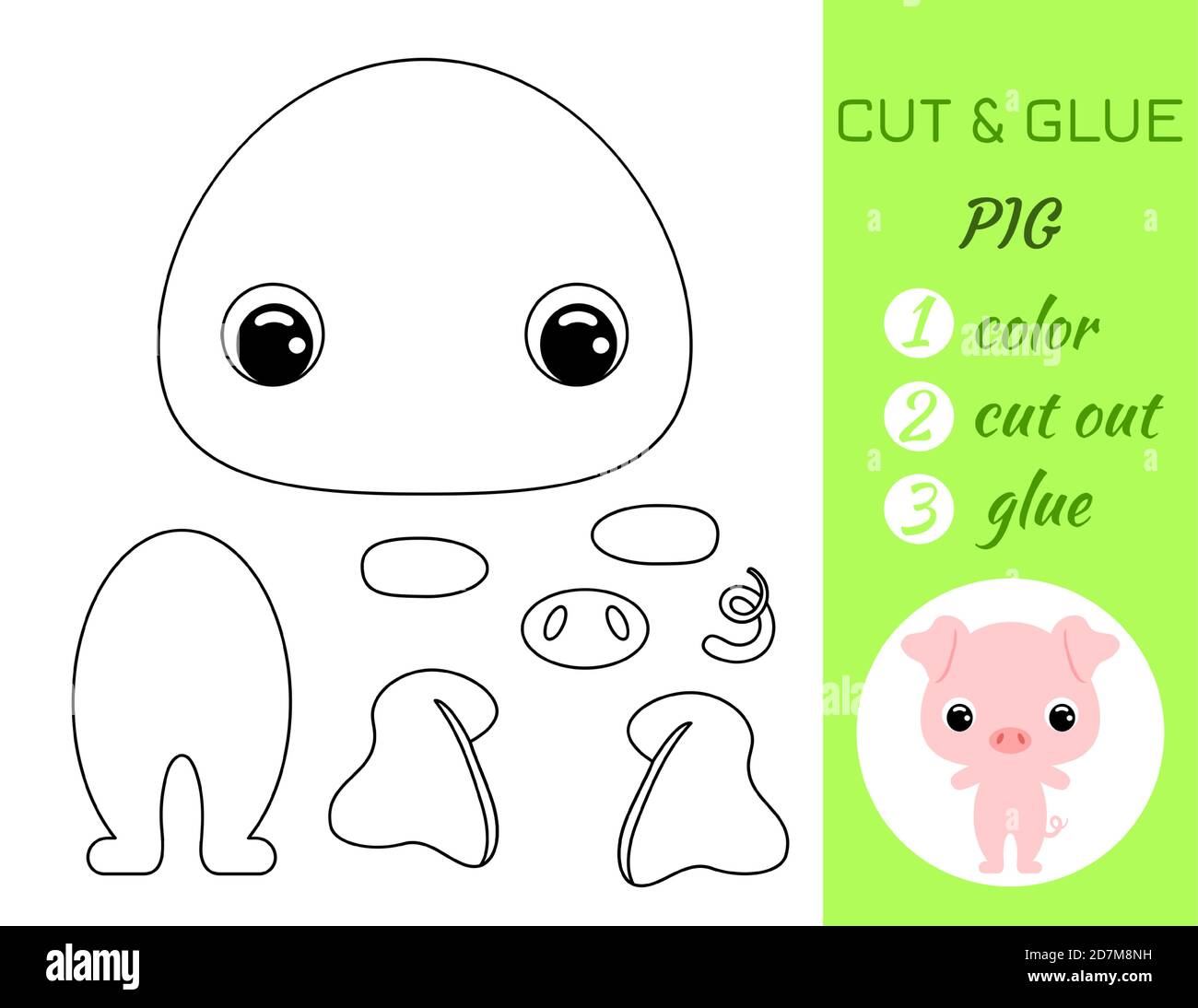 Parts Of A Pig Worksheet