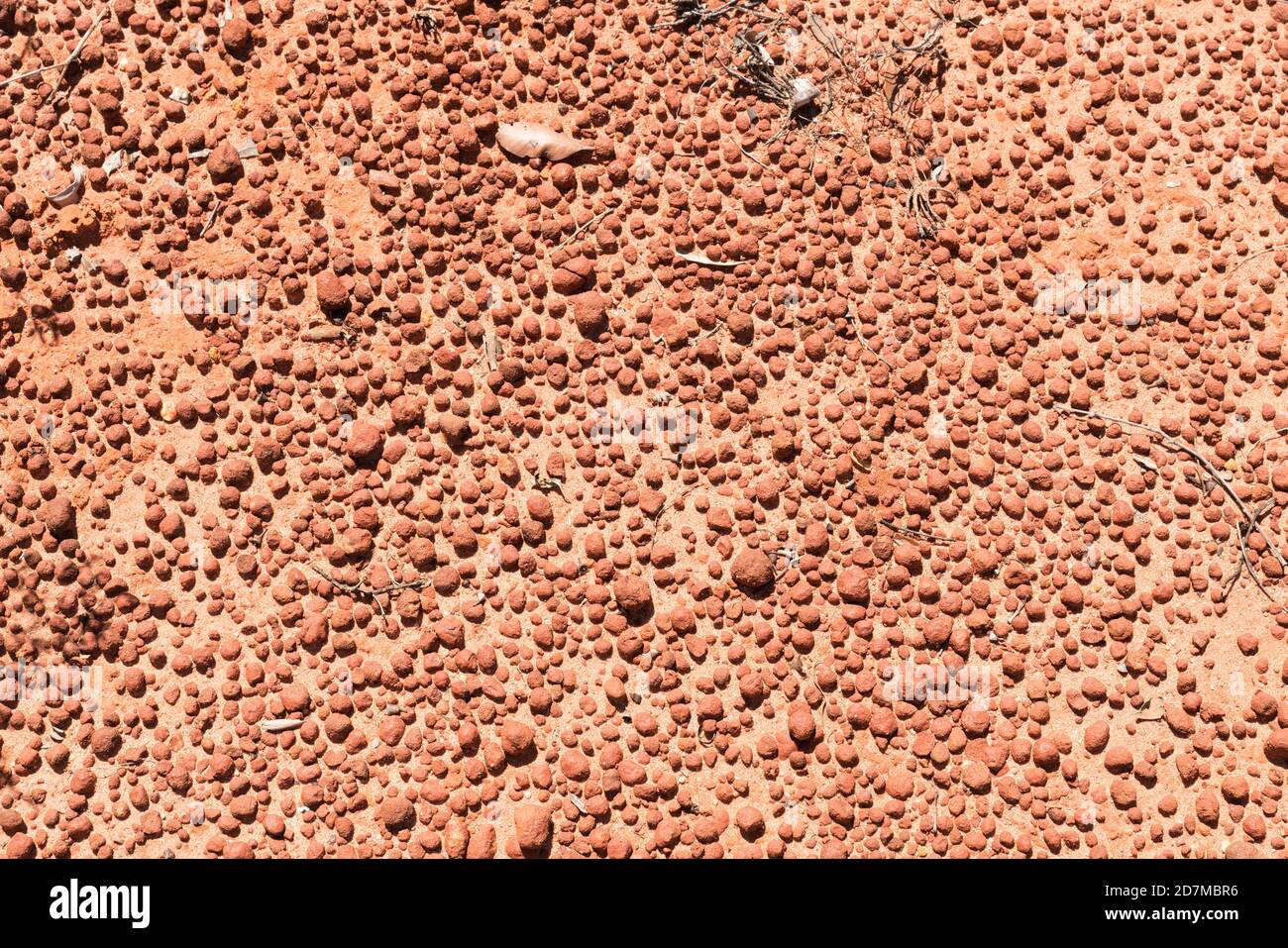 Pebbles formed by erosion in red soil in White Mountains National Park, Queensland Stock Photo