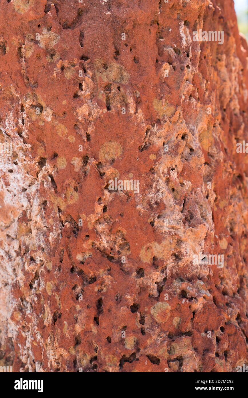 Close up of Laterite karst pinnacles or rock formations formed by erosion near Sawpit Gorge in White Mountains National Park, Queensland Stock Photo