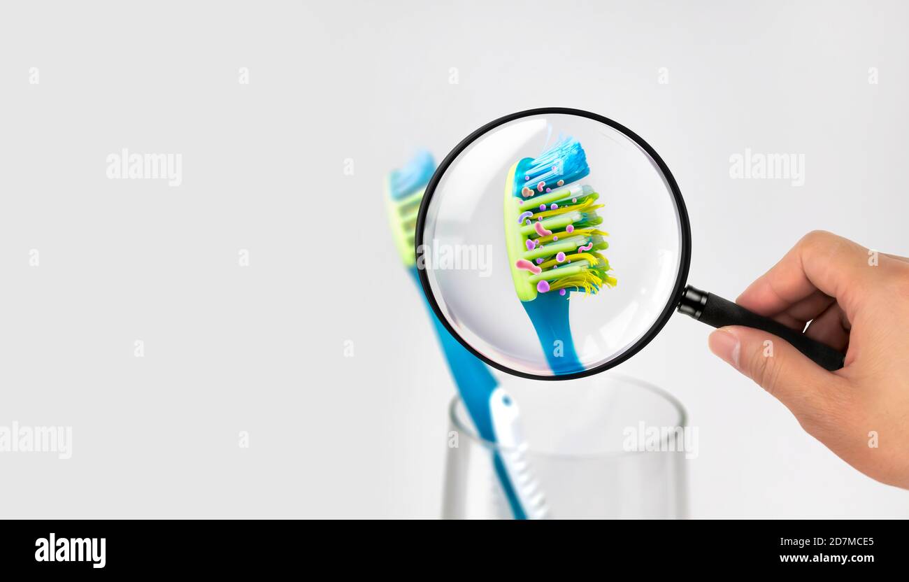 Bacteria in a toothbrush Stock Photo Alamy