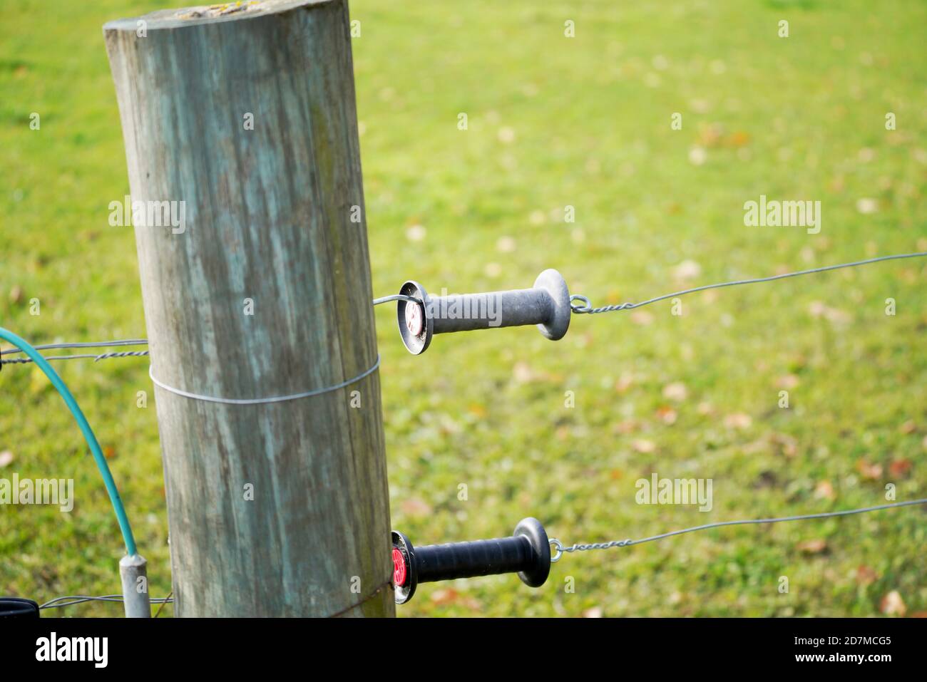Electric fence gate protecting a green grass pasture Stock Photo Alamy