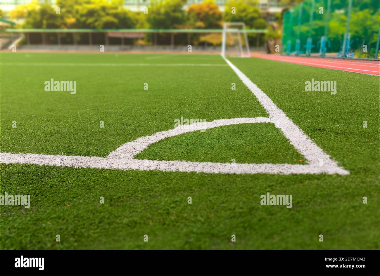 Soccer or Football field with white line Stock Photo Alamy